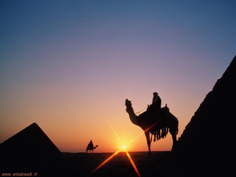 Camel or Horse Riding at Pyramids area